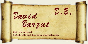 David Barzut vizit kartica